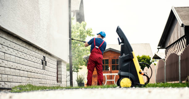 Best Solar Panel Cleaning  in Roanoke, IL